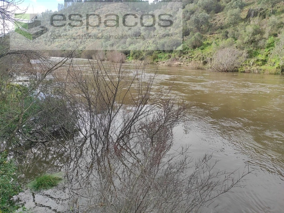 Terreno Agricola ou Rústico para Venda em Sarnadas de Rodão Foto 4