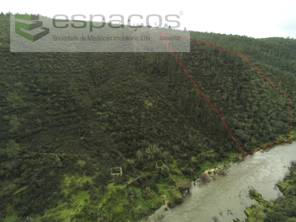 Terreno Agricola ou Rústico para Venda em Sarnadas de Rodão Foto 10