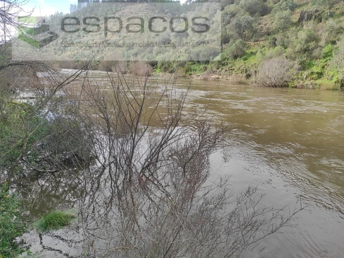 Terreno Agricola ou Rústico para Venda em Sarnadas de Rodão Foto 4