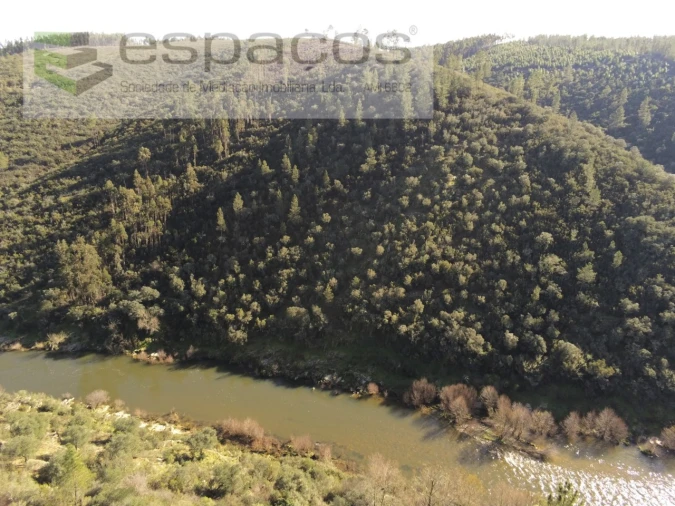 Terreno Agricola ou Rústico para Venda em Sarnadas de Rodão Foto 2