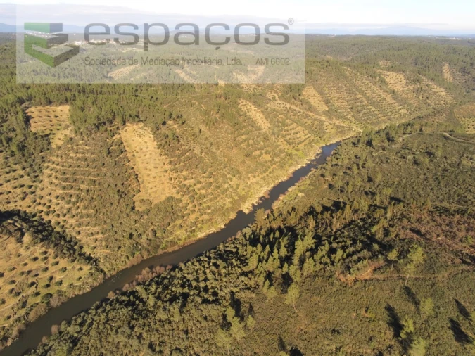 Terreno Agricola ou Rústico para Venda em Sarnadas de Rodão Foto 3