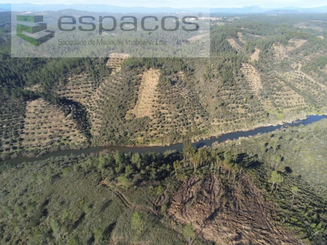 Terreno Agricola ou Rústico para Venda em Sarnadas de Rodão Foto 1