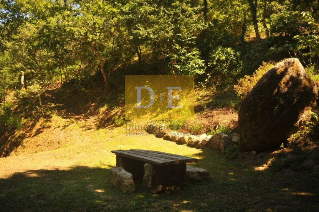 Moradia T3 para Venda em Várzea, Aliviada e Folhada Foto 1