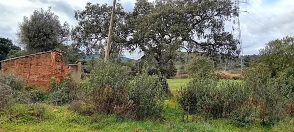 Terreno para Venda em São Bartolomeu de Messines