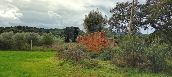Terreno para Venda em São Bartolomeu de Messines