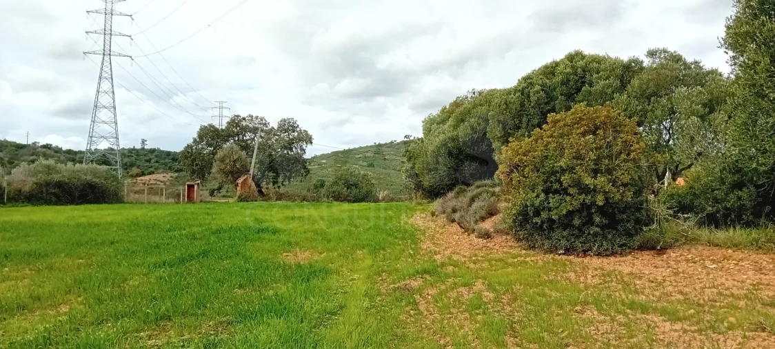 Terreno para Venda em São Bartolomeu de Messines Foto 4