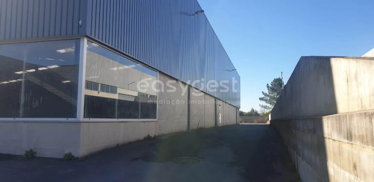 Armazém para Venda em Oliveira do Bairro Foto 12