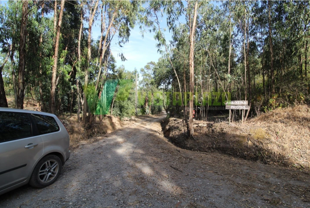 Terreno Misto para Venda em Marmelete Foto 6