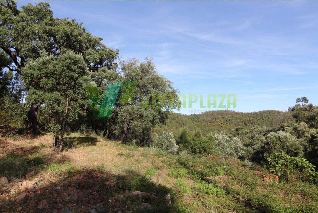 Terreno Misto para Venda em Marmelete Foto 1