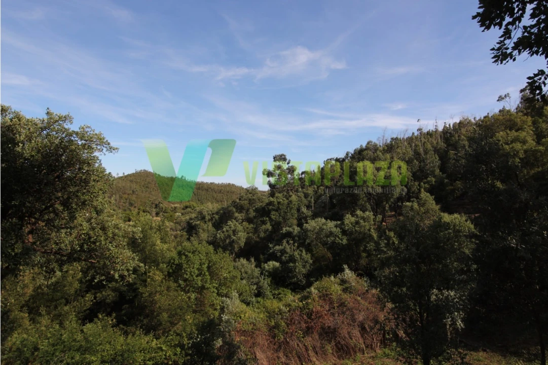 Terreno Misto para Venda em Marmelete Foto 4