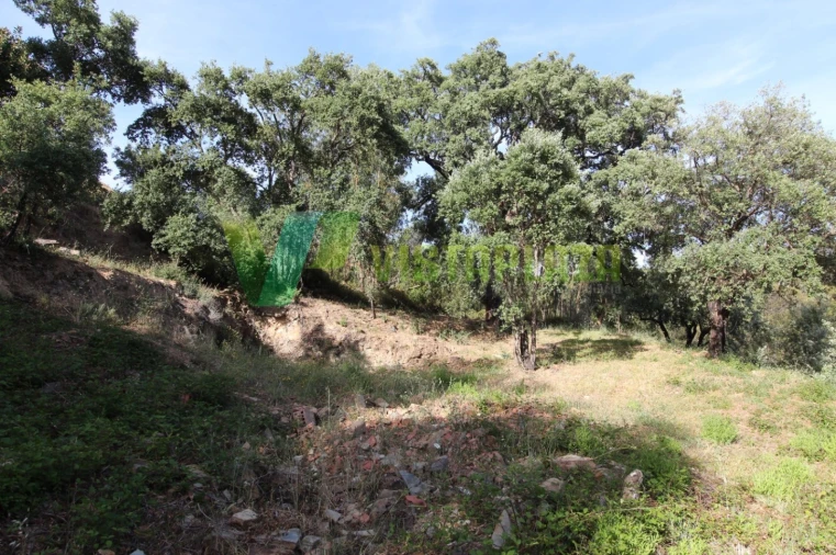 Terreno Misto para Venda em Marmelete Foto 10