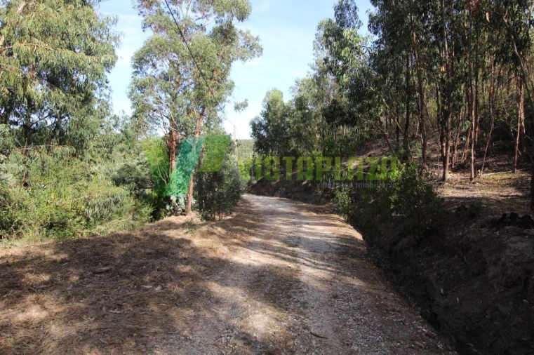 Terreno Misto para Venda em Marmelete Foto 3