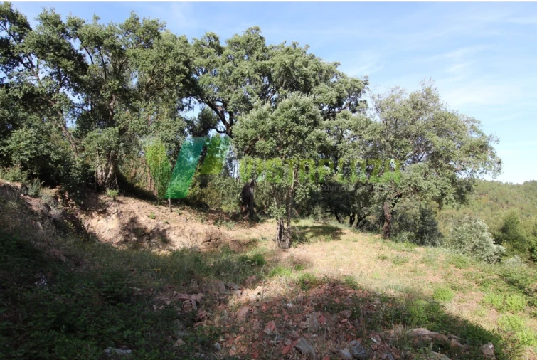 Terreno Misto para Venda em Marmelete Foto 9