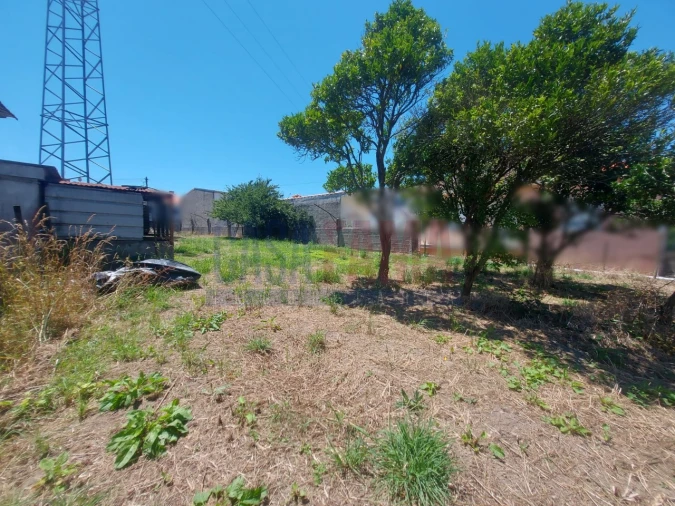 Terreno para Venda em Junqueira Foto 8