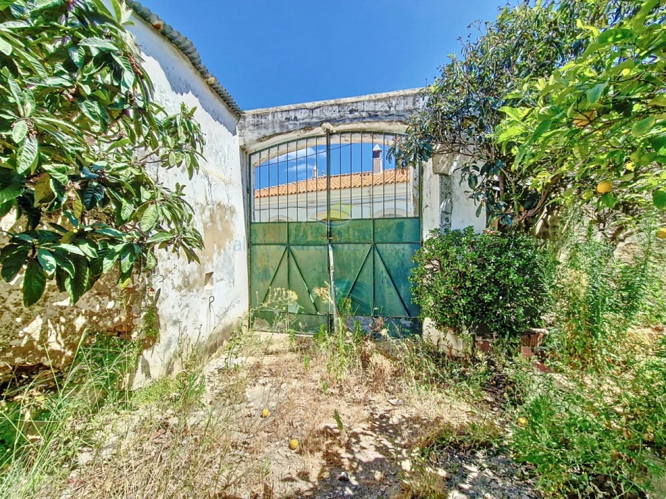 Prédio para Venda em Alcantarilha e Pêra Foto 13