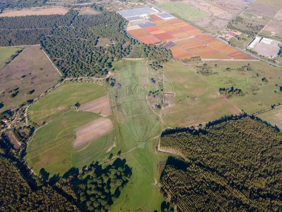 Terreno para Venda em Pegões Foto 4