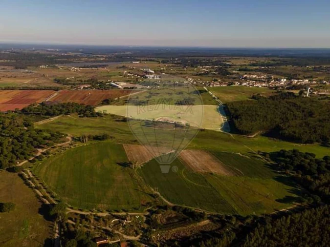 Terreno para Venda em Pegões Foto 6