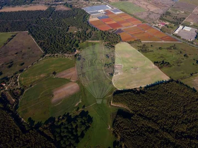 Terreno para Venda em Pegões Foto 9