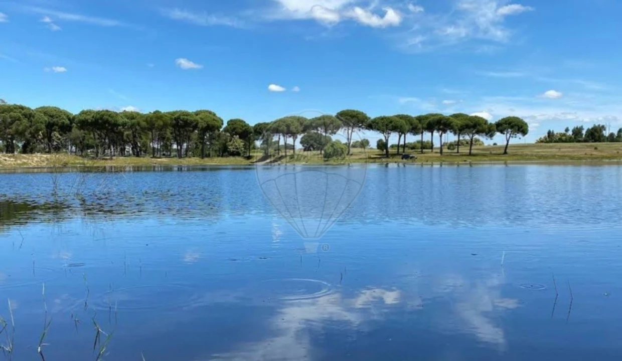 Terreno para Venda em Pegões Foto 2
