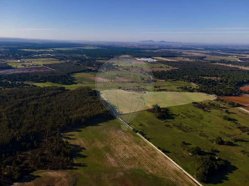Terreno para Venda em Pegões Foto 7