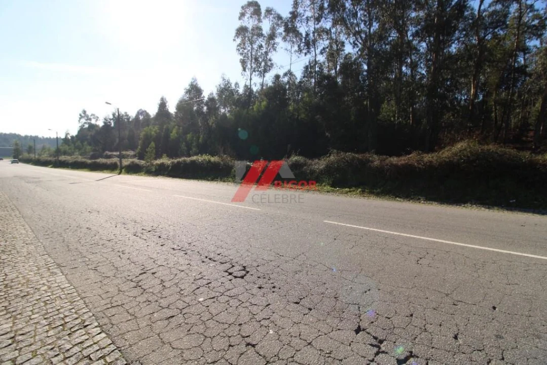 Terreno para Arrendamento em Nogueira e Silva Escura Foto 2