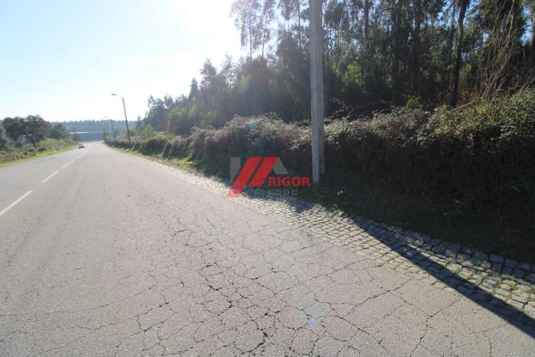 Terreno para Arrendamento em Nogueira e Silva Escura Foto 6