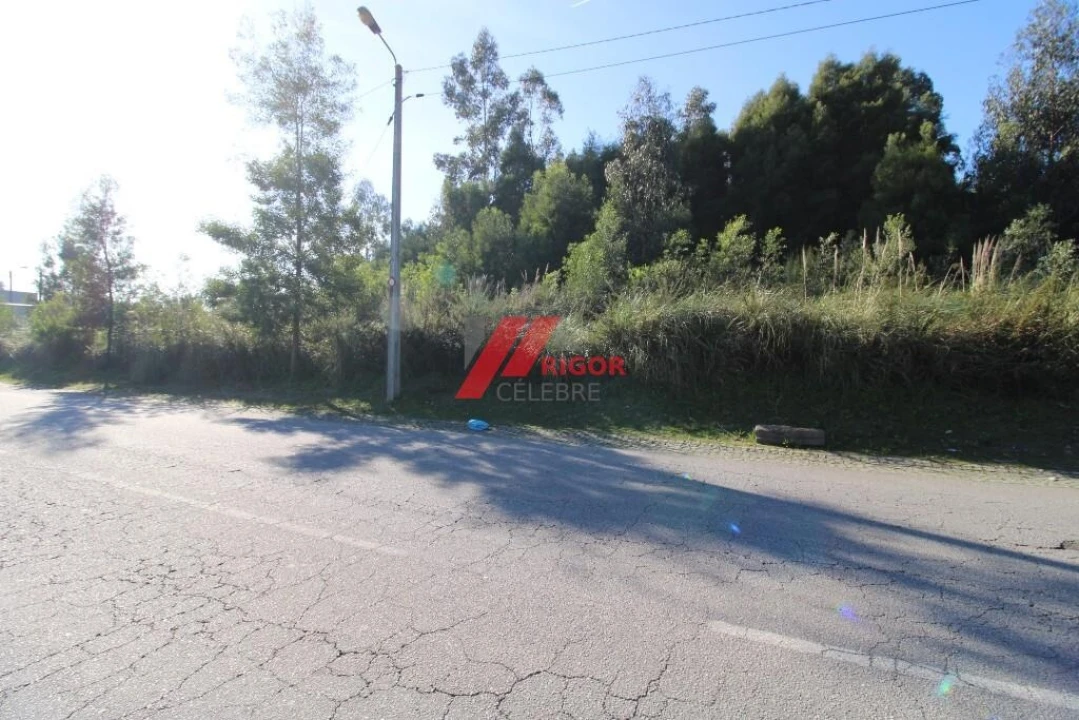 Terreno para Arrendamento em Nogueira e Silva Escura Foto 8
