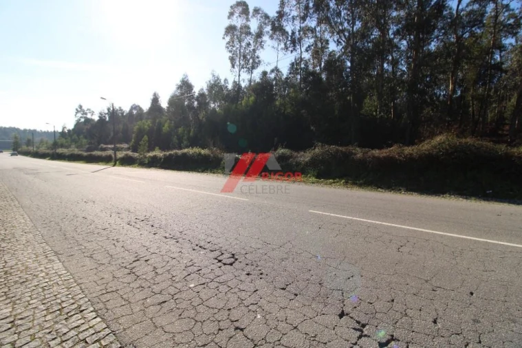Terreno para Arrendamento em Nogueira e Silva Escura Foto 2