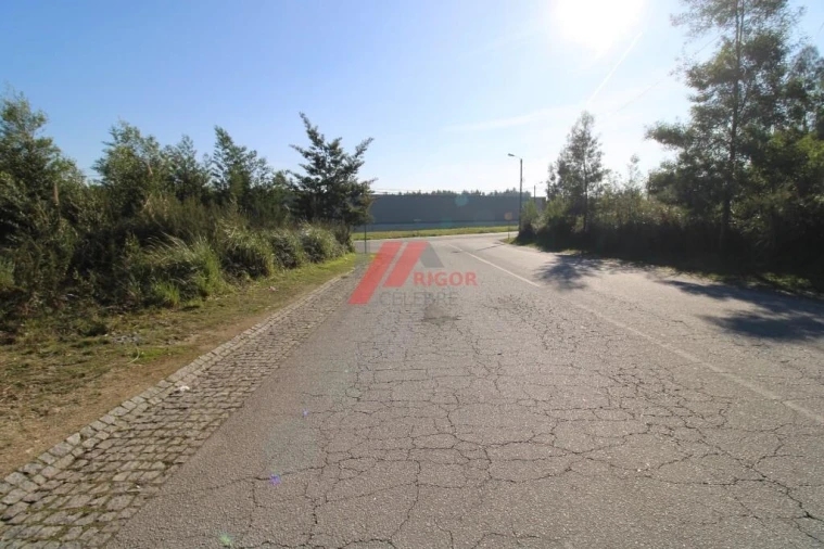 Terreno para Arrendamento em Nogueira e Silva Escura Foto 9