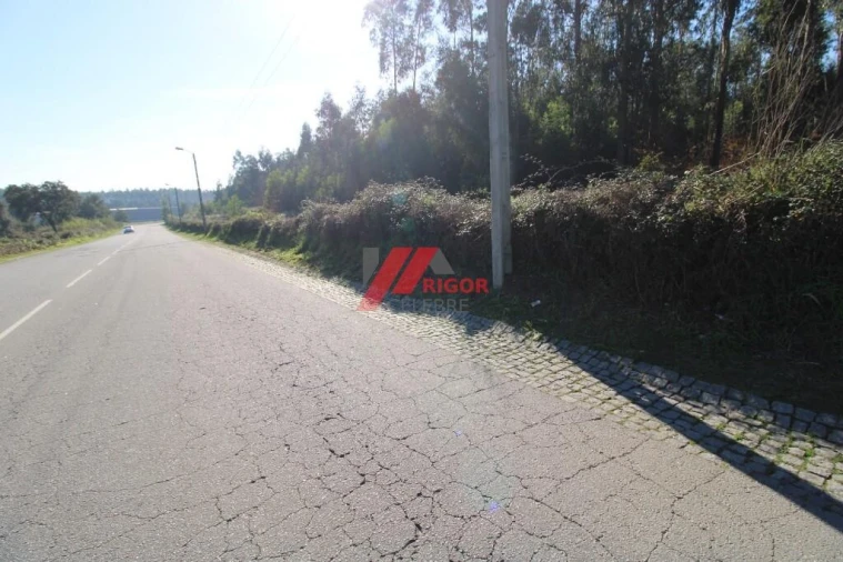 Terreno para Arrendamento em Nogueira e Silva Escura Foto 6