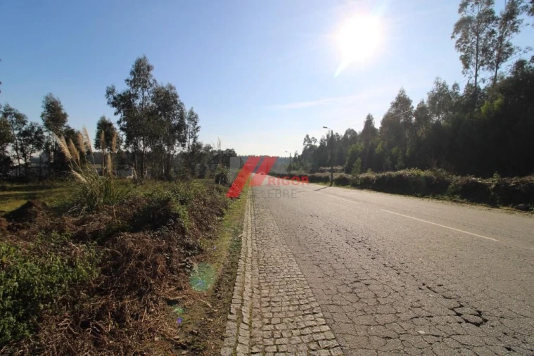 Terreno para Arrendamento em Nogueira e Silva Escura Foto 3