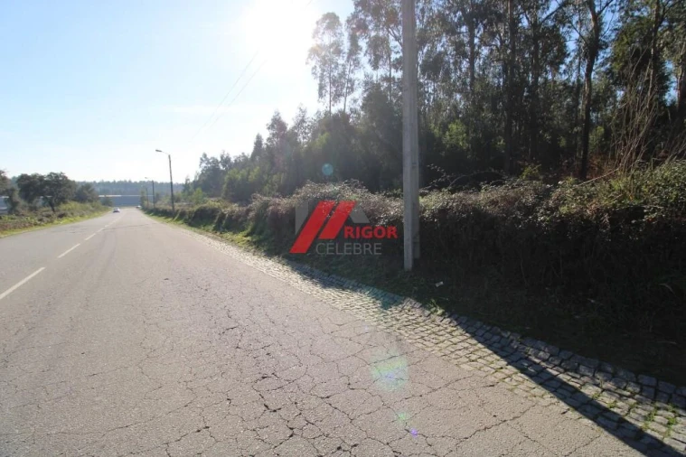 Terreno para Arrendamento em Nogueira e Silva Escura Foto 5