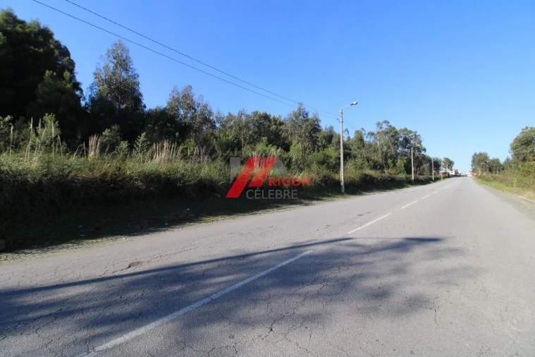 Terreno para Arrendamento em Nogueira e Silva Escura Foto 10