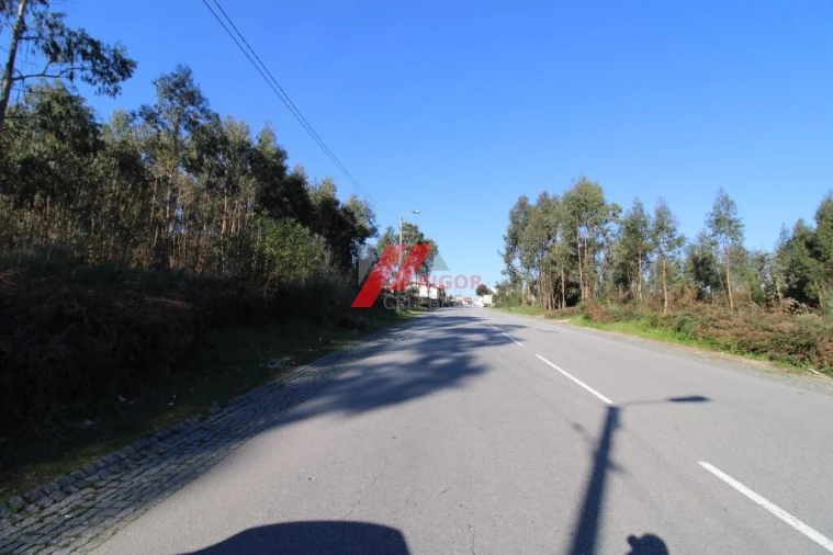Terreno para Arrendamento em Nogueira e Silva Escura Foto 4