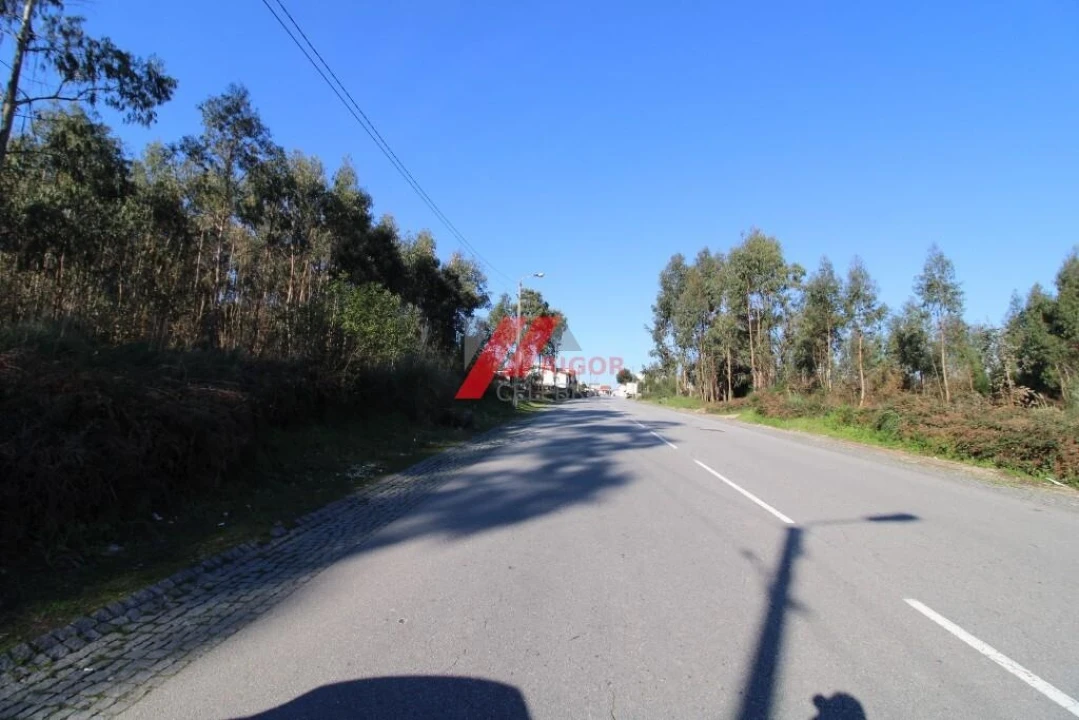 Terreno para Arrendamento em Nogueira e Silva Escura Foto 4