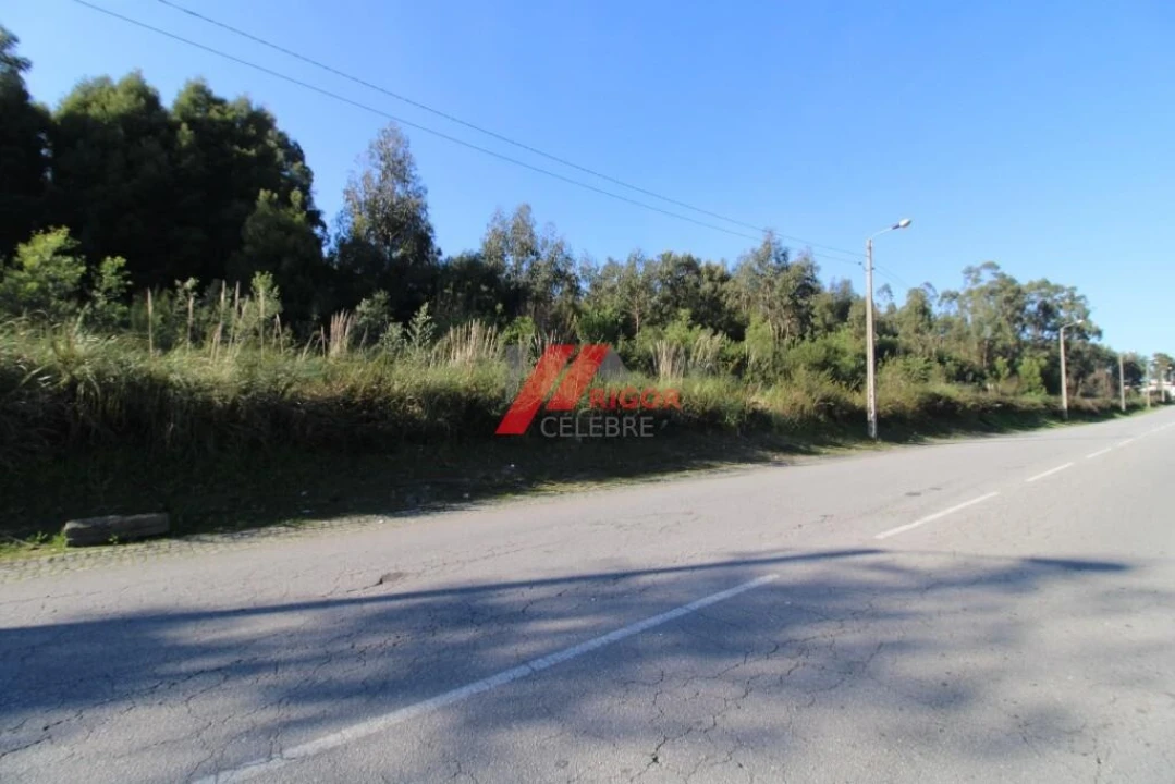 Terreno para Arrendamento em Nogueira e Silva Escura Foto 7