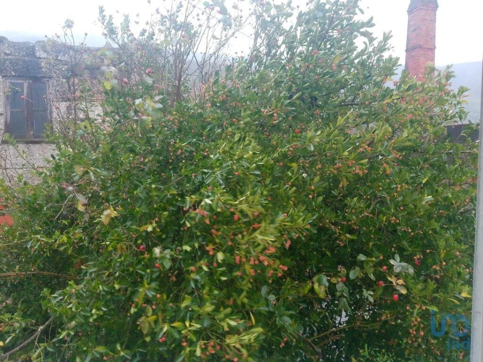 Moradia T3 para Venda em Penalva de Alva e São Sebastião da Feira Foto 8