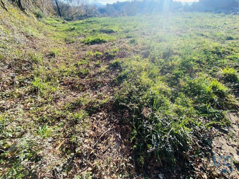 Terreno para Venda em Sopo Foto 12