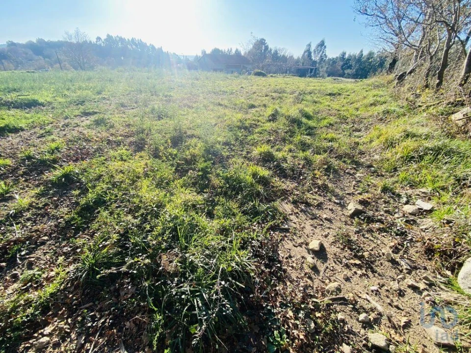 Terreno para Venda em Sopo Foto 3