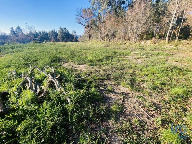 Terreno para Venda em Sopo Foto 5