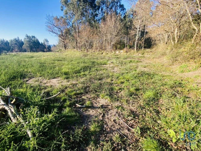 Terreno para Venda em Sopo Foto 4