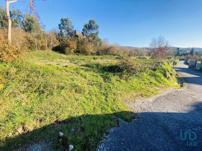 Terreno para Venda em Sopo Foto 13