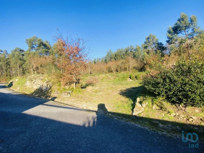 Terreno para Venda em Sopo Foto 14