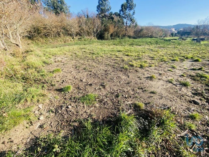 Terreno para Venda em Sopo Foto 2