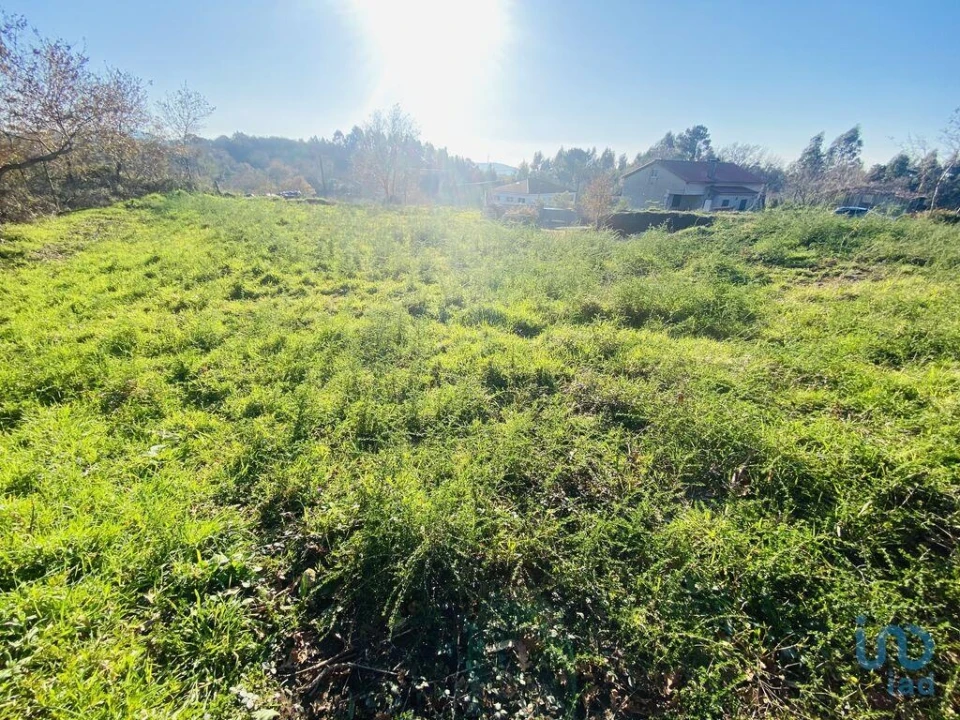 Terreno para Venda em Sopo Foto 8