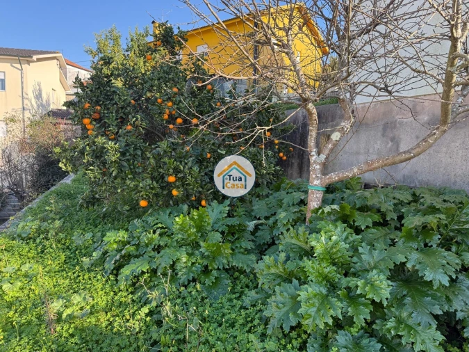 Moradia T4 para Venda em Grijó e Sermonde Foto 38