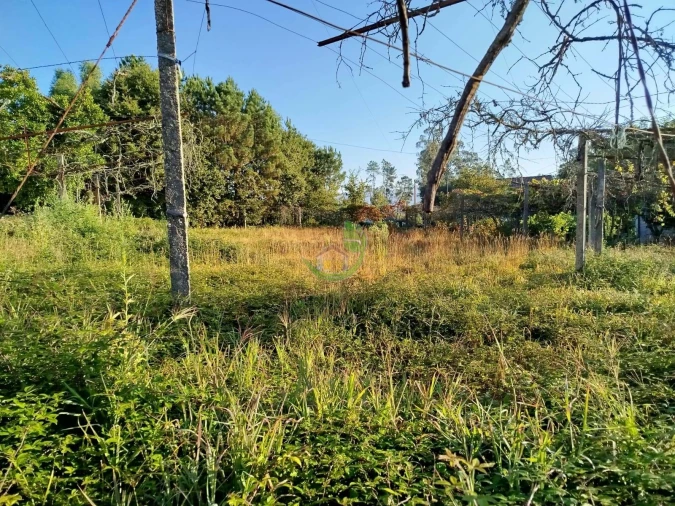 Terreno para Venda em Gême Foto 13