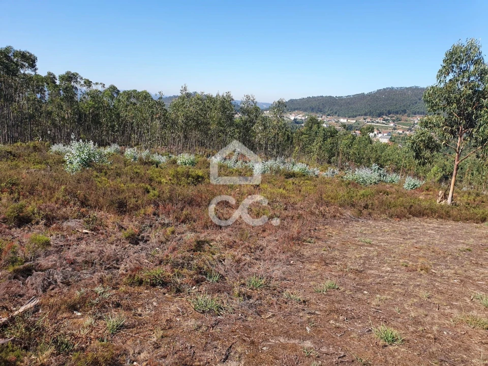 Terreno para Venda em Melres e Medas Foto 3