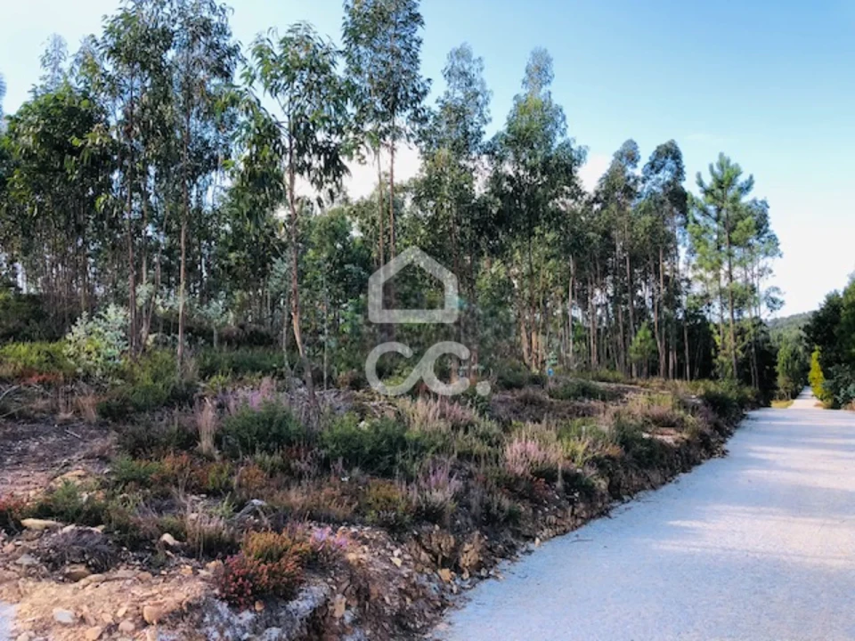 Terreno para Venda em Melres e Medas Foto 8