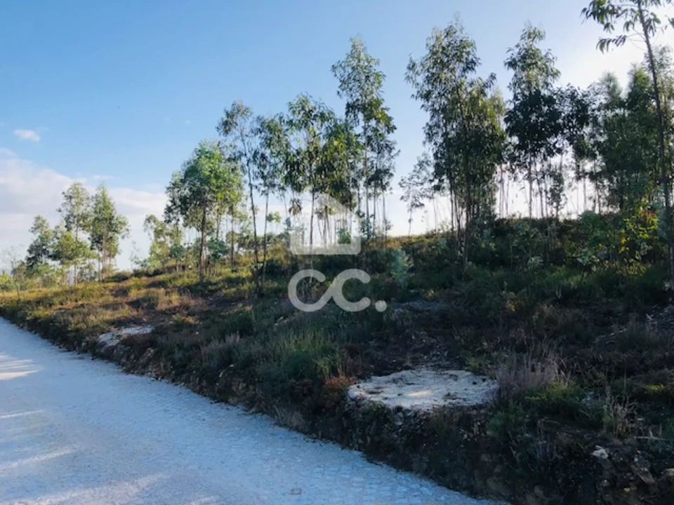 Terreno para Venda em Melres e Medas Foto 5